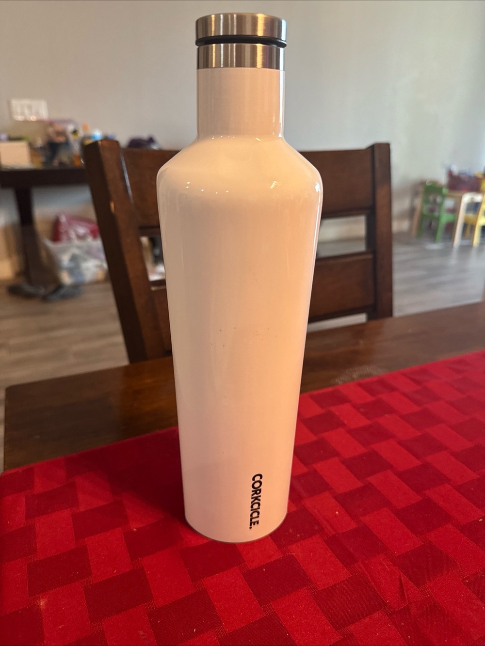 Corkcicle White Insulated Bottle with Silver Cap